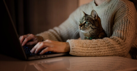 Person typing on laptop with cat in their lap